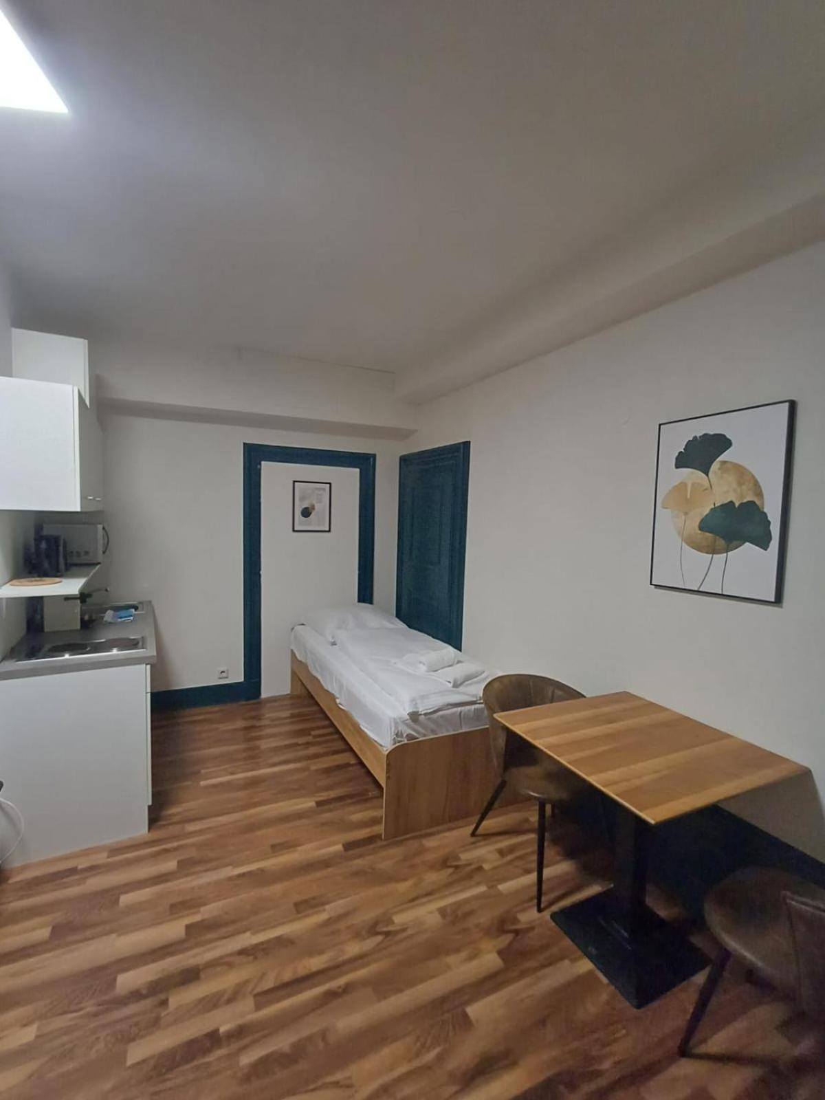 Crown Living Villa Blumenau Studios, Smarttv, Parkplatz Lustenau Buitenkant foto